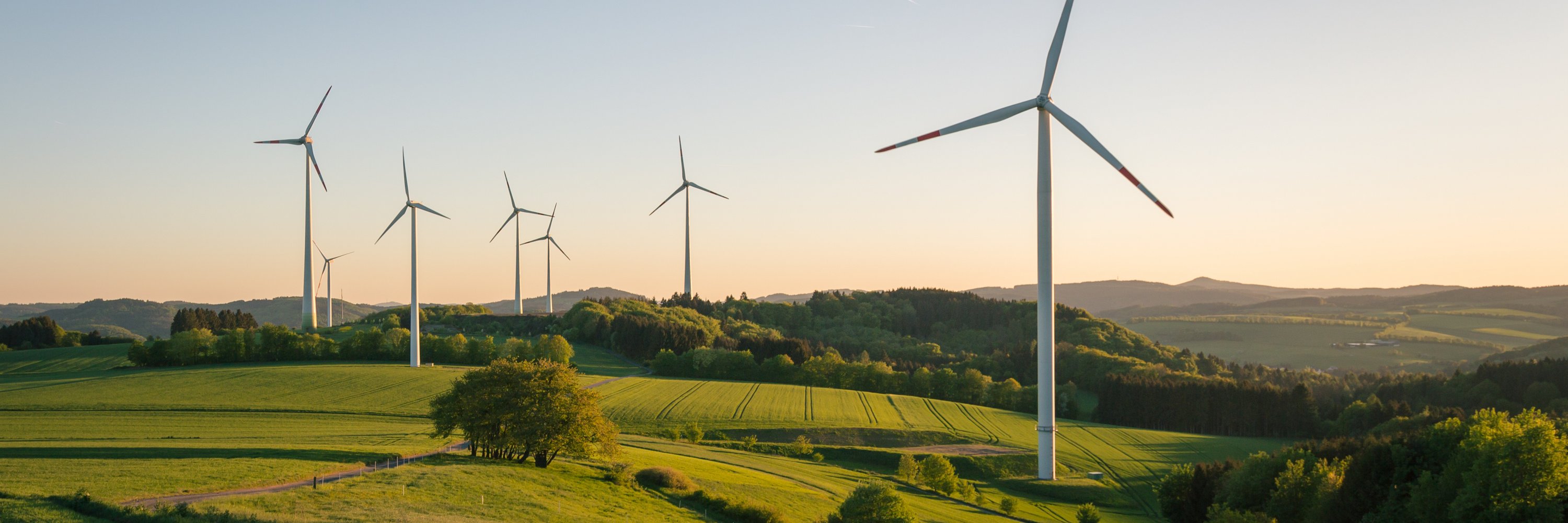 Wind turbines on a field at sunset