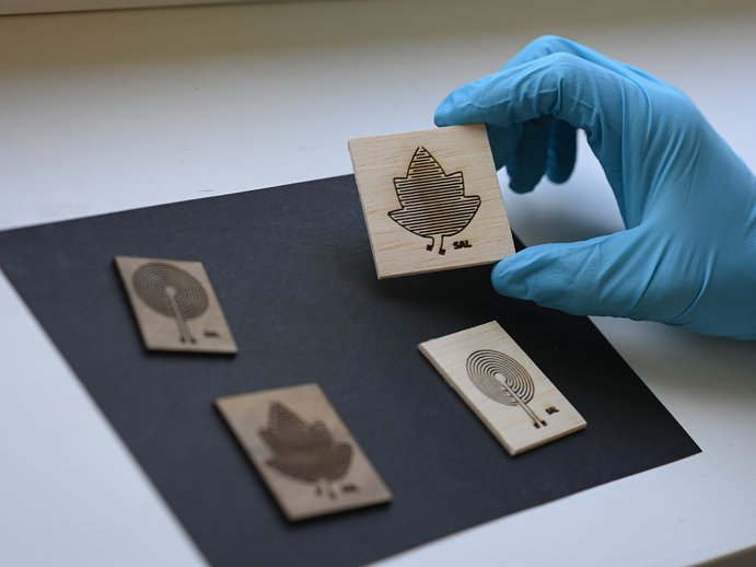 close-up of four sensors printed on wood